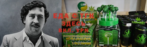 гидра Вязьма
