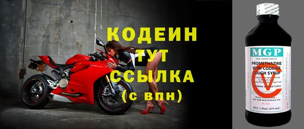 гидра Вязьма