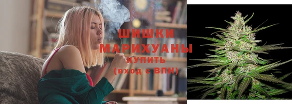 гидра Вязьма