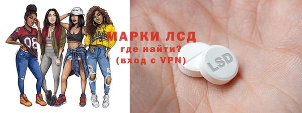 амф Вяземский