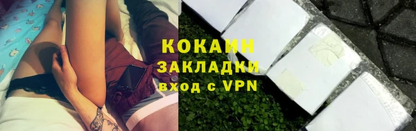 амф Вяземский