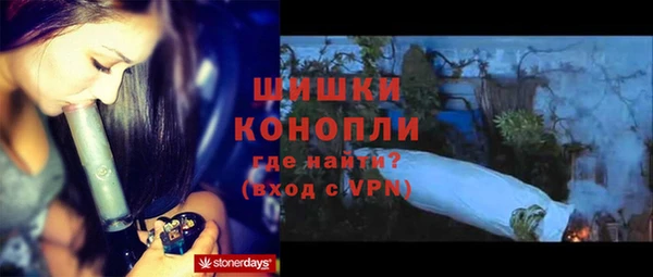 гидра Вязьма