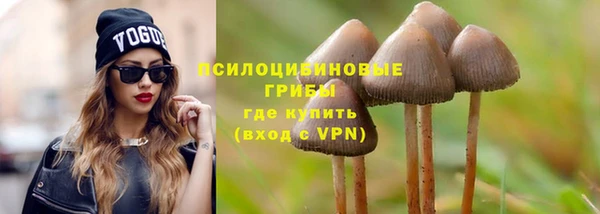 амф Вяземский