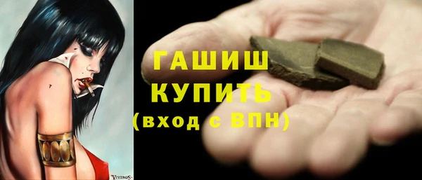 гидра Вязьма