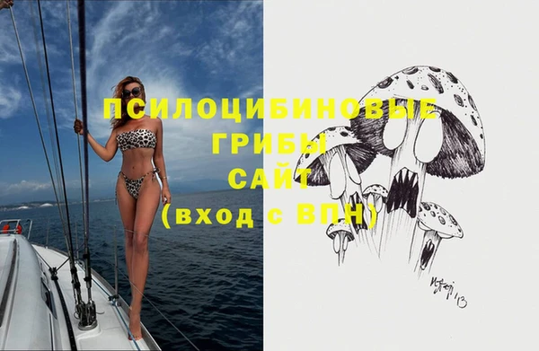 шишки Горняк
