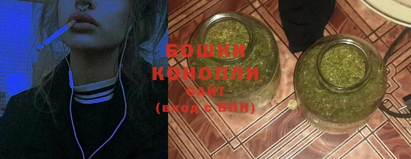 гидра Вязьма
