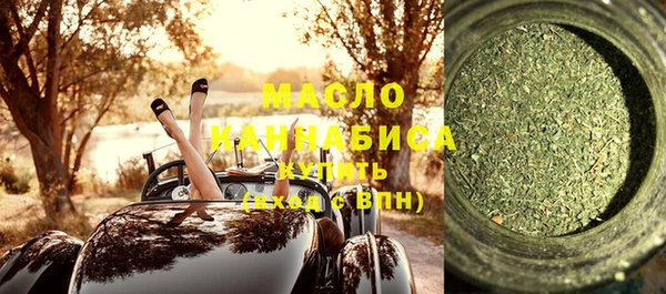 гидра Вязьма