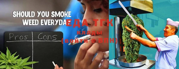 гидра Вязьма
