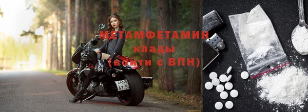 гидра Вязьма