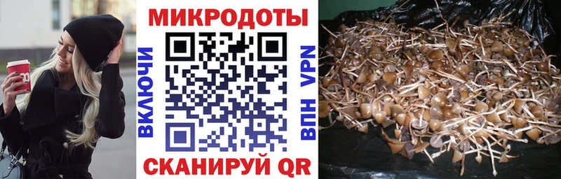 Псилоцибиновые грибы прущие грибы  где купить наркоту  Обнинск 